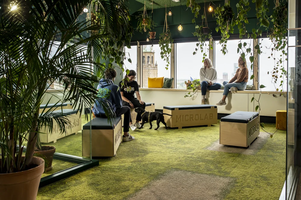 Groene en gezellige loungeruimte in Microlab aan de Aert van Nesstraat met mensen, een hond en uitzicht op de stad.